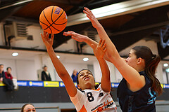 Basketball Superliga SLMU19 Basket Duchess vs. Vienna Timberwolves


