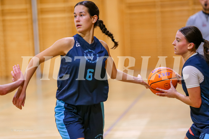 01.12.2024 Österreichischer Basketballverband 2024/25, SLWU19, Vienna United vs. Vienna Timberwolves
