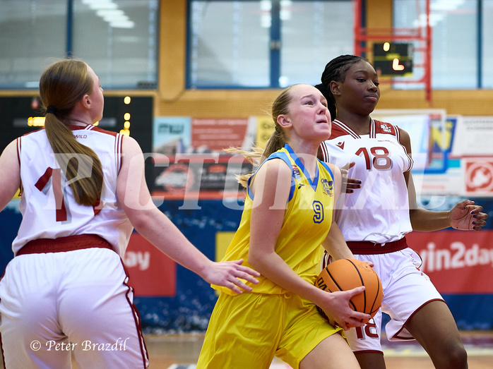 Basketball Superliga 2024/25, SLWU16 Traiskirchen Lionesses vs. UBBC Herzogenburg


