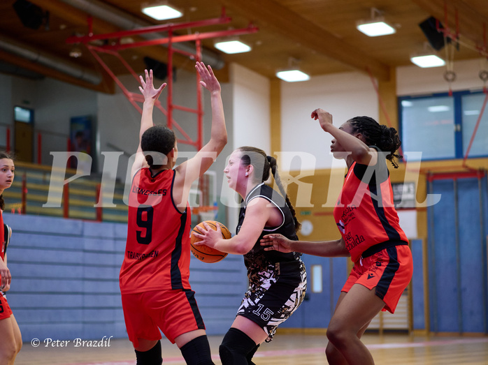 Basketball Superliga 2024/25, SLMU16 Traiskirchen Lionesses vs. VKL Vikings Kammer


