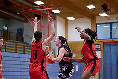 Basketball Superliga 2024/25, SLMU16 Traiskirchen Lionesses vs. VKL Vikings Kammer


