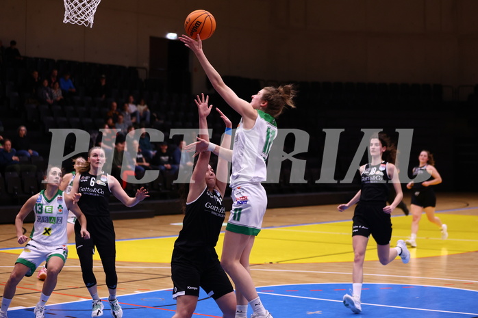 02.03.2024, Graz, Raiffeisen Sportpark, Basketball Damen Superliga 2023/24, Grunddurchgang 14.Runde, UBI Holding Graz - Basket Flames Women ,  
