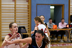 Basketball Superliga 2024/25, SLWU14 Traiskirchen Lionesses vs. DBK Steyrer Witches


