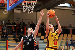 Basketball Zweite Liga 2024/25, Grunddurchgang 16.Runde Traiskirchen Lions NextGen vs. Vienna United


