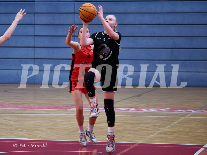 Basketball Superliga 2024/25, SLWU14 Traiskirchen Lionesses vs. Gratkorn Scorpions


