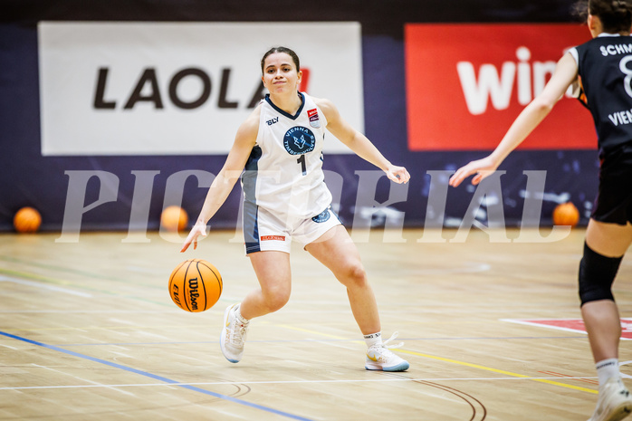 Basketball, Win2Day Basketball Damen Superliga 2023/24, Grunddurchgang 12.Runde, Vienna Timberwolves, Vienna United, Elisa Khamis (1)