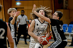 22.03.2025 Österreichischer Basketballverband 2024/25, SLMU14, Vienna Giants vs. BBC Nord Dragonz 