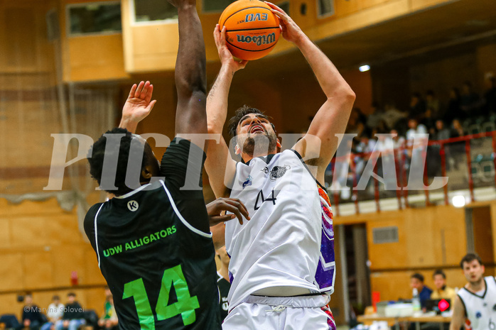 01.12.2024 Basketball Zweite Liga 2024/25, Grunddurchgang  10.Runde Vienna United vs. Union Deutsch Wagram Aligators