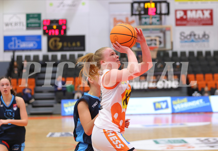 Basketball Austria Cup 2023/24, Viertelfinale BK Duchess Klosterneuburg vs. Vienna Timberwolves



