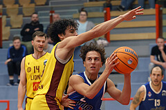 Basketball Zweite Liga 2024/25, Grunddurchgang 1.Runde Traiskirchen Lions NextGen vs. Kufstein Towers


