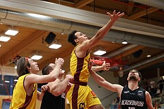 Basketball Zweite Liga 2024/25, Grunddurchgang 11.Runde Traiskirchen Lions NextGen vs. Güssing Blackbirds


