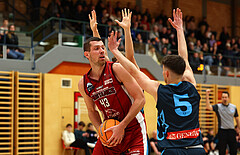 Basketball Zweite Liga 2024/25, Grunddurchgang 15.Runde Mistelbach Mustangs vs. Vienna Timberwolves


