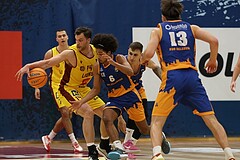 Basketball Zweite Liga 2024/25, Grunddurchgang 8.Runde Traiskirchen Lions NextGen vs. BBU Salzburg


