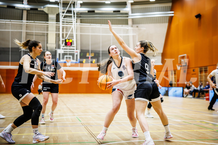 Basketball, Win2Day Basketball Damen Superliga 2024/25, Grunddurchgang 14.Runde, Vienna Timberwolves, Basket Flames, Larissa Serban (31) Basketball, Win2Day Basketball Damen Superliga 2024/25, Grunddurchgang 14.Runde, Vienna Timberwolves, Basket Flames, Larissa Serban (31)