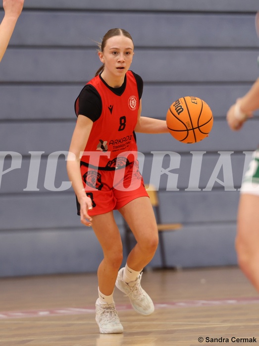 Basketball Superliga 2024/25, SLWU14 Traiskirchen Lionesses vs. UBI Graz


