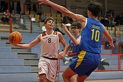 Basketball Superliga 2024/25, SLMU16 Traiskirchen Lions vs. St. Pölten



