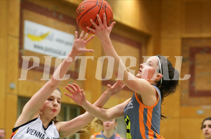 Basketball Damen Superliga 2022/23, Grunddurchgang 8.Runde Vienna United vs. BK Duchess