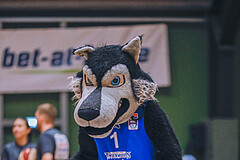 Basketball Basketball Superliga 2020/21, Grunddurchgang 14.Runde D.C. Timberwolves vs. St. Pölten
