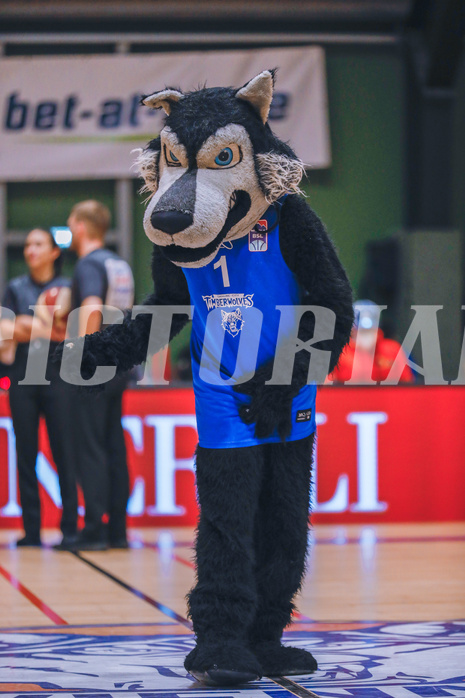 Basketball Basketball Superliga 2020/21, Grunddurchgang 14.Runde D.C. Timberwolves vs. St. Pölten
