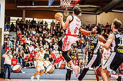 Basketball, win2day Basketball Superliga 2024/25, Grunddurchgang 9.Runde, Traiskirchen Lions, Gmunden Swans, Aleksej Kostic (6)