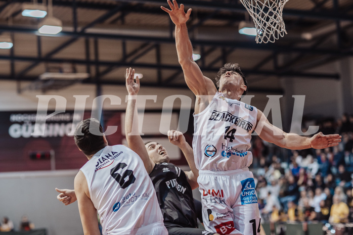 Basketball, Basketball Zweite Liga 2023/24, Viertelfinale Spiel 2, Blackbirds G
