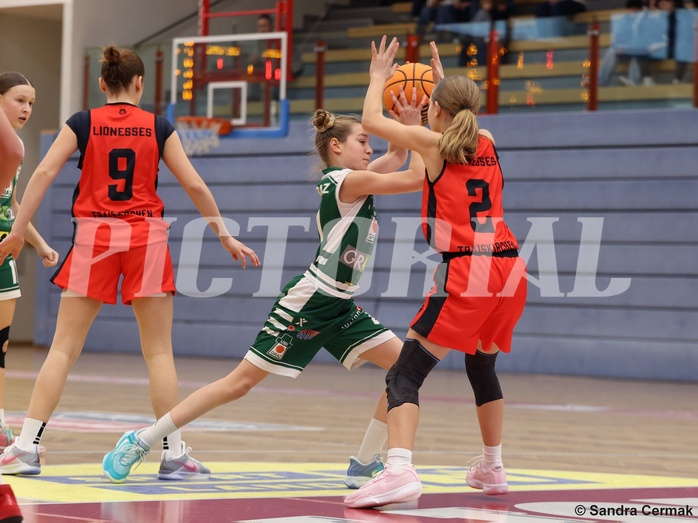 Basketball Superliga 2024/25, SLWU14 Traiskirchen Lionesses vs. UBI Graz


