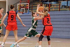 Basketball Superliga 2024/25, SLWU14 Traiskirchen Lionesses vs. UBI Graz


