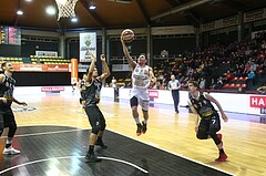 Basketball ABL 2016/17, Grunddurchgang 22.Runde BC Vienna vs. Traiskirchen Lions



