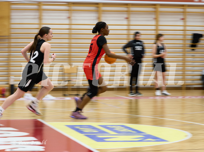 Basketball Superliga 2024/25, SLWU16 Traiskirchen Lionesses vs. BBC Nord Dragons


