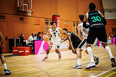 Basketball, Basketball Zweite Liga 2024/25, Grunddurchgang 4.Runde, Vienna Timberwolves, UDW Alligators, Armin Karian (7)