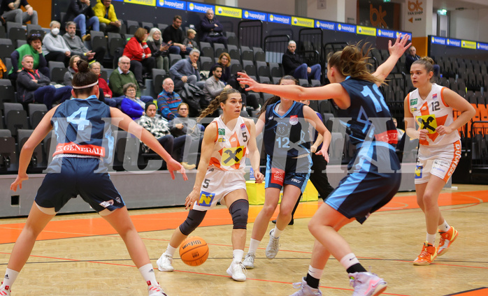 Basketball Austria Cup 2023/24, Viertelfinale BK Duchess Klosterneuburg vs. Vienna Timberwolves


