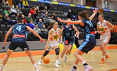 Basketball Austria Cup 2023/24, Viertelfinale BK Duchess Klosterneuburg vs. Vienna Timberwolves



