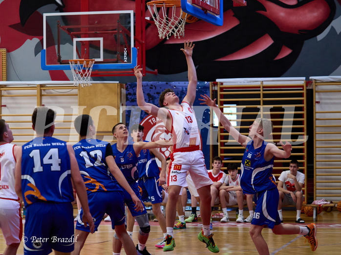 Basketball Superliga 2024/25, SLMU16 Traiskirchen Lions vs. FCN Baskets Wels


