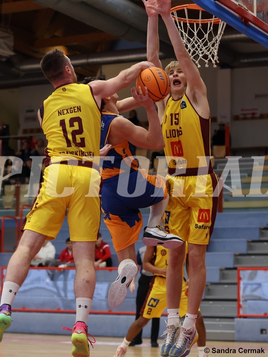 Basketball Zweite Liga 2024/25, Grunddurchgang 8.Runde Traiskirchen Lions NextGen vs. BBU Salzburg