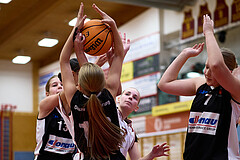 Basketball Superliga 2024/25, SLWU14 Traiskirchen Lionesses vs. DBK Steyrer Witches


