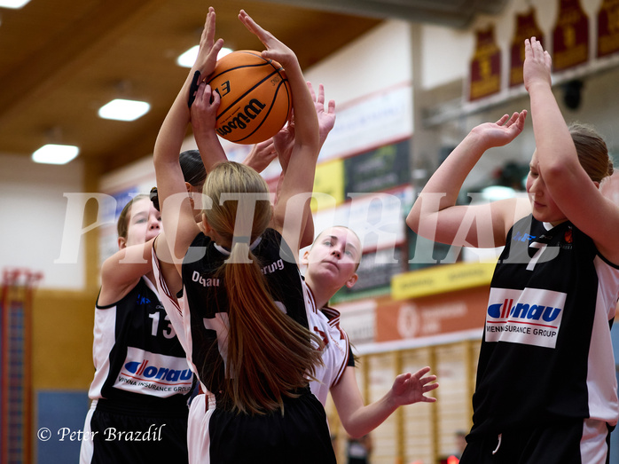 Basketball Superliga 2024/25, SLWU14 Traiskirchen Lionesses vs. DBK Steyrer Witches


