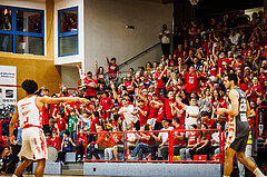Basketball, win2day Basketball Superliga 2024/25, Playoff Viertelfinale 2. Spiel, Traiskirchen Lions, Klosterneuburg Dukes, Lions Fans
