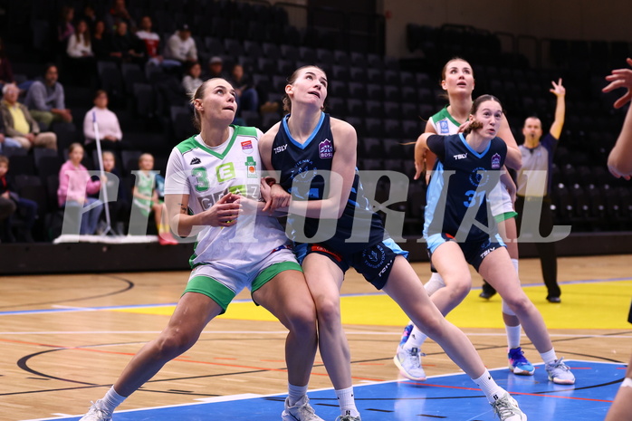 01.11.2024, Graz, Raiffeisen Sportpark, Basketball Austria Cup 2024-25, Viertelfinale, UBI Holding Graz vs. Vienna Timberwolves,  
