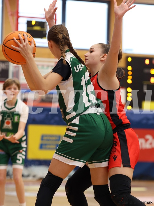 Basketball Superliga 2024/25, SLWU14 Traiskirchen Lionesses vs. UBI Graz


