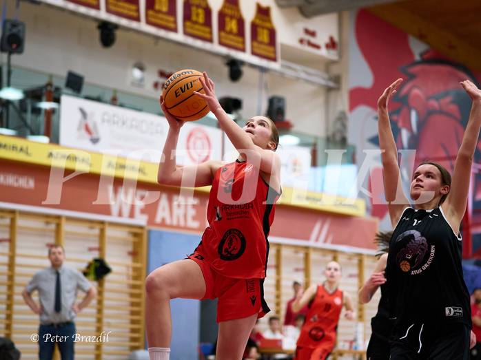Basketball Superliga 2024/25, SLWU14 Traiskirchen Lionesses vs. Gratkorn Scorpions


