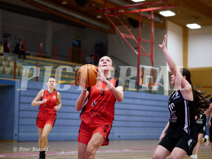 Basketball Superliga 2024/25, SLWU16 Traiskirchen Lionesses vs. BBC Nord Dragons



