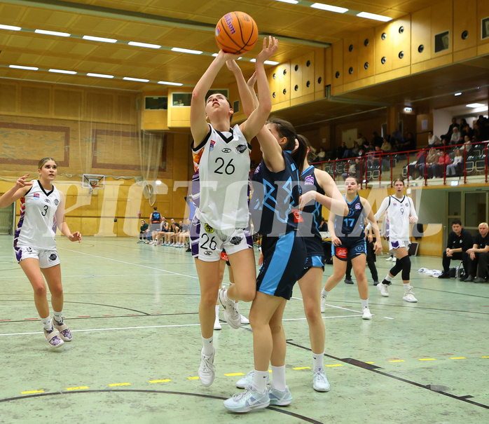 Basketball Damen Superliga 2024/25, Grunddurchgang 6.Runde Vienna United vs. Vienna Timberwolves


