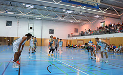 Basketball Austria Cup 2023/24, Achtelfinale Union Deutsch Wagram Aligators vs. Klosterneuburg Dukes


