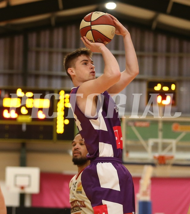 Basketball ABL 2018/19, Grunddurchgang 27.Runde D.C. Timberwolves vs. BC Vienna


