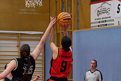 Basketball Superliga 2024/25, SLMU16 Traiskirchen Lionesses vs. VKL Vikings Kammer


