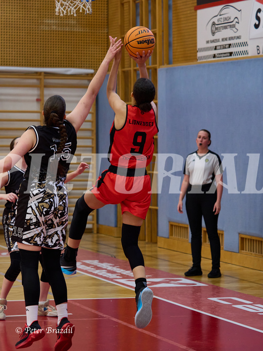 Basketball Superliga 2024/25, SLMU16 Traiskirchen Lionesses vs. VKL Vikings Kammer


