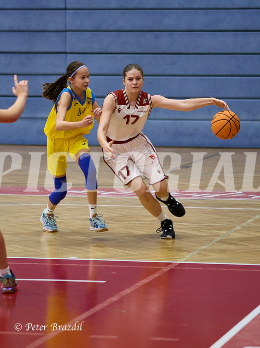 Basketball Superliga 2024/25, SLWU16 Traiskirchen Lionesses vs. UBBC Herzogenburg


