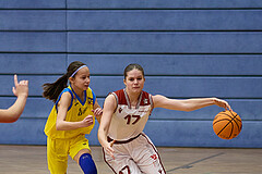 Basketball Superliga 2024/25, SLWU16 Traiskirchen Lionesses vs. UBBC Herzogenburg


