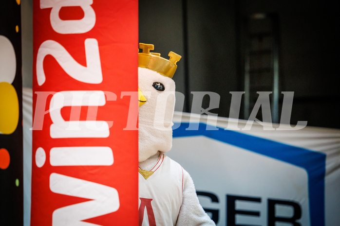 Basketball, Basketball Austria Cup 2022/23, Herren Finale, Gmunden Swans, UBSC Graz, #mascot