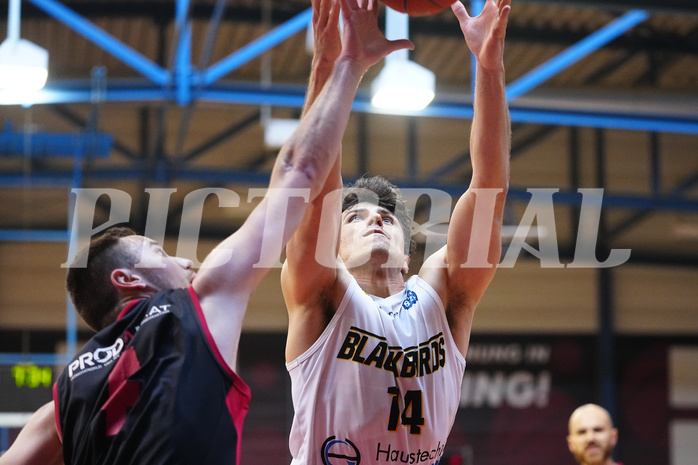 Basketball 2. Liga 2022/23, Finale Spiel 2, Guessing Blackbirds vs. Mistelbach Mustangs